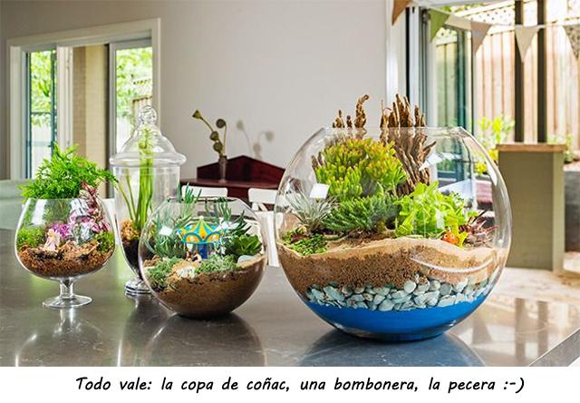 Terrarium_14