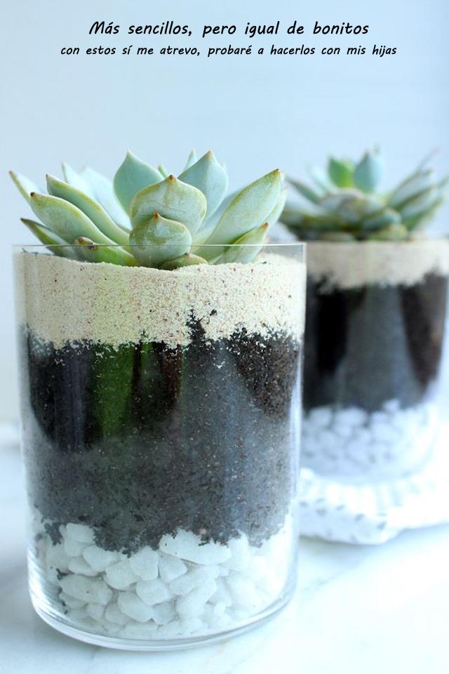 Terrarium_16
