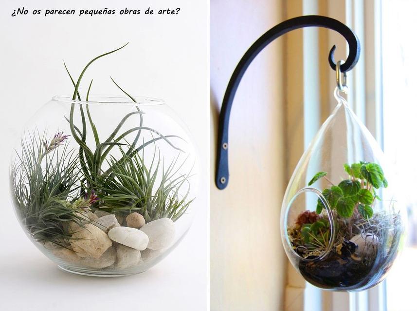 Terrarium_17