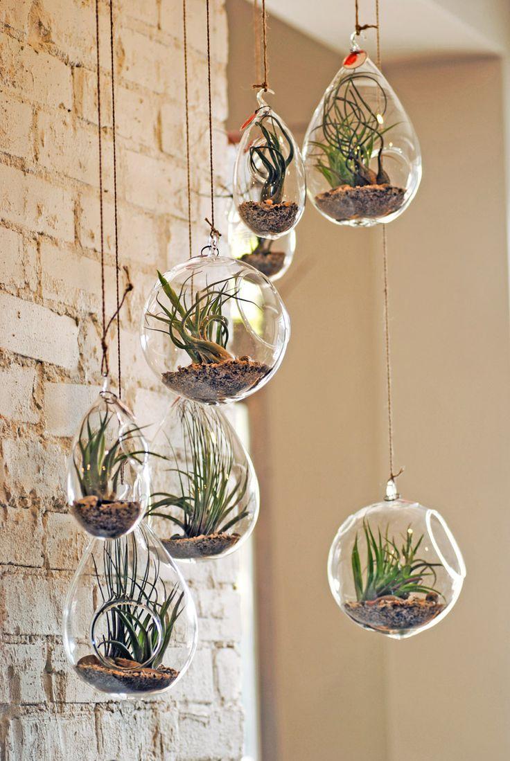 Terrarium_10