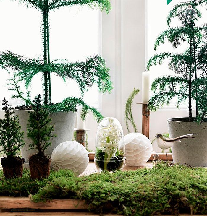 Homelifestyle-Magazine-Ideas-Navidades-Petra-Bindel-detalle