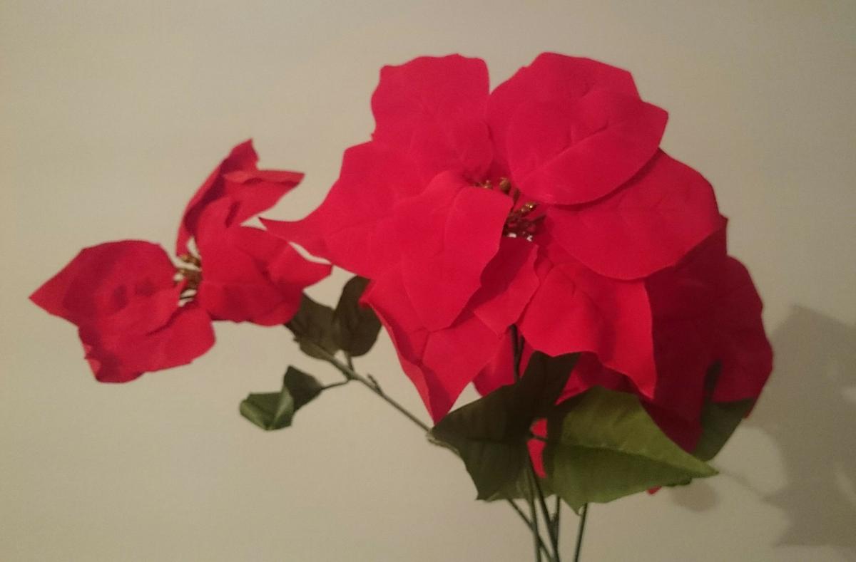 mesadenavidadrojoyverde-florpascua