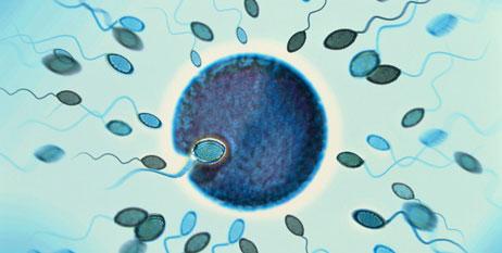 causas de infertilidad