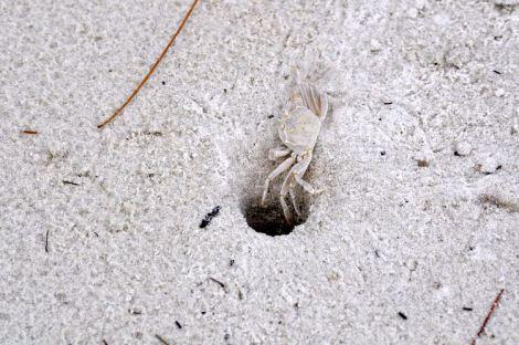 camboya-10-11-koh-rong-07