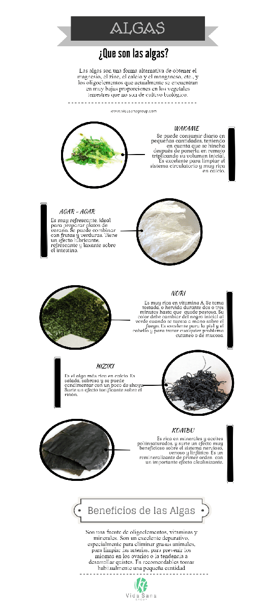 Las algas son una forma alternativa de obtener el magnesio, zinc, calcio, manganeso, etc., y los oligoelementos que actualmente no se encuentran o se encuentra en muy bajas proporciones en los vegetales terrestres que no son de cultivo biológico o biodinámico.