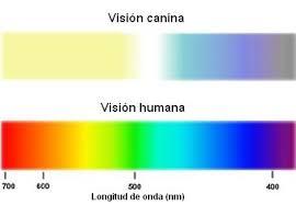 gama cromatica