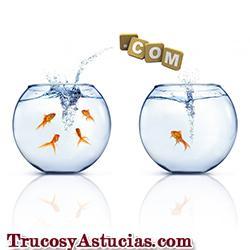 Dominio de Google Apps: como desbloquearlo