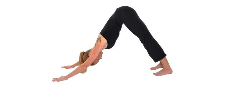 Adho Mukha Svanasana saludo al sol