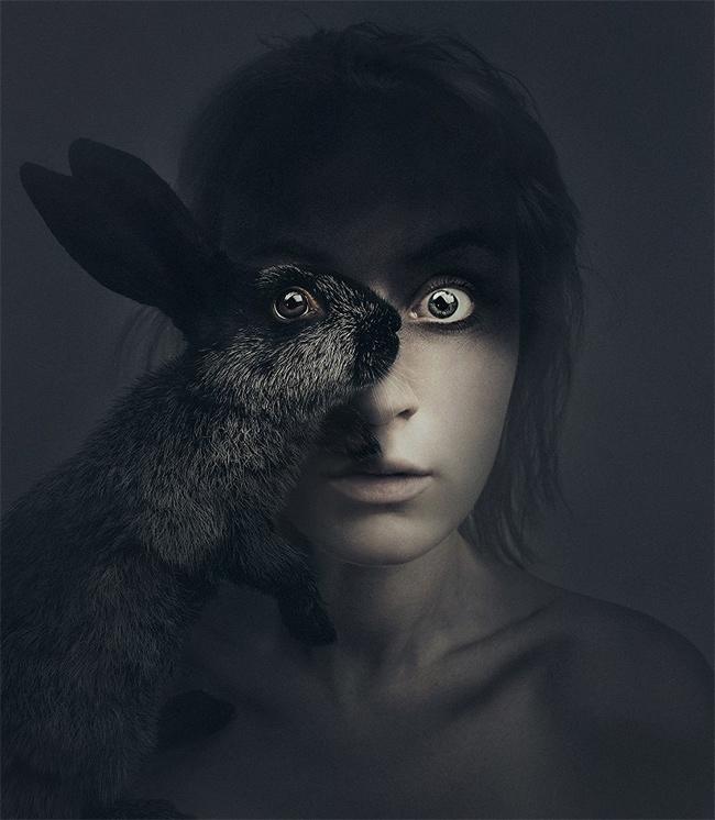 la fotografia animal de flora borsi en wolfrik