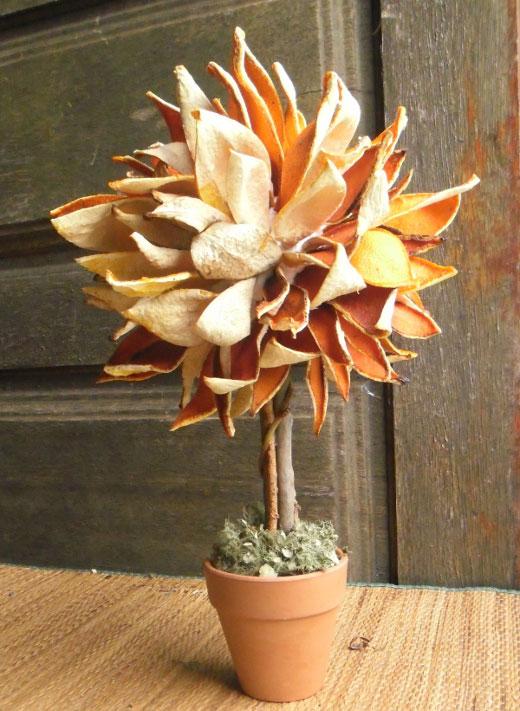 reciclar pieles de naranja para hacer un topiario