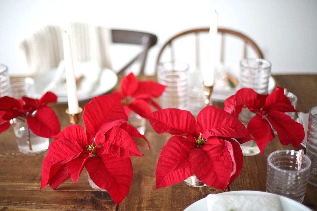 poinsettia-flower-recipe