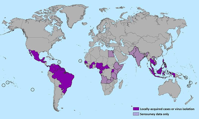 zika 201