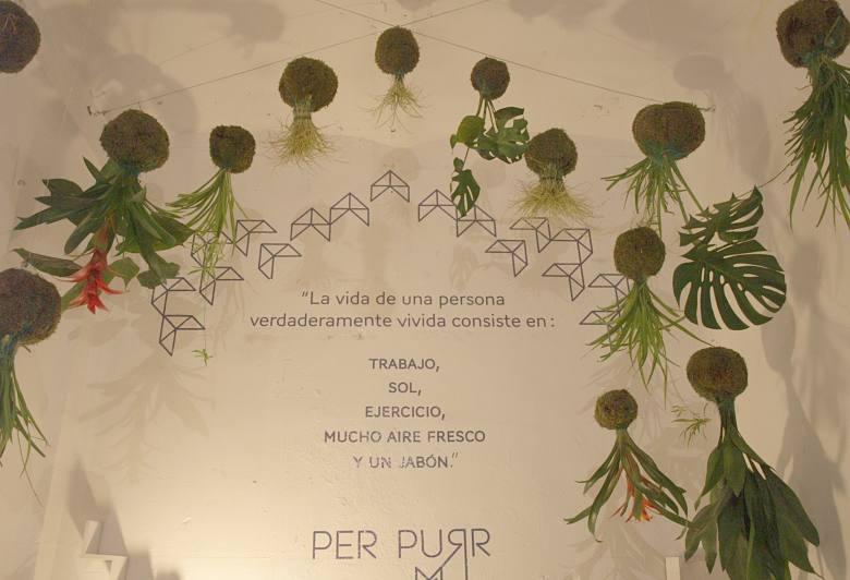 federica_and_co_jabones