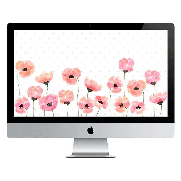 amapolas