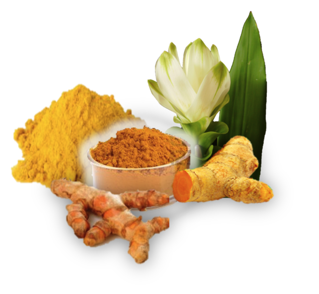 curcuma alcalinaphideal