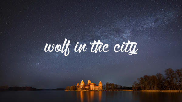 wolfinthecity