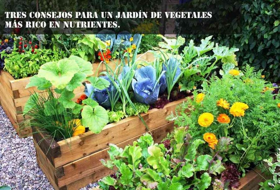 Tres consejos para un jardín de vegetales más rico en nutrientes.