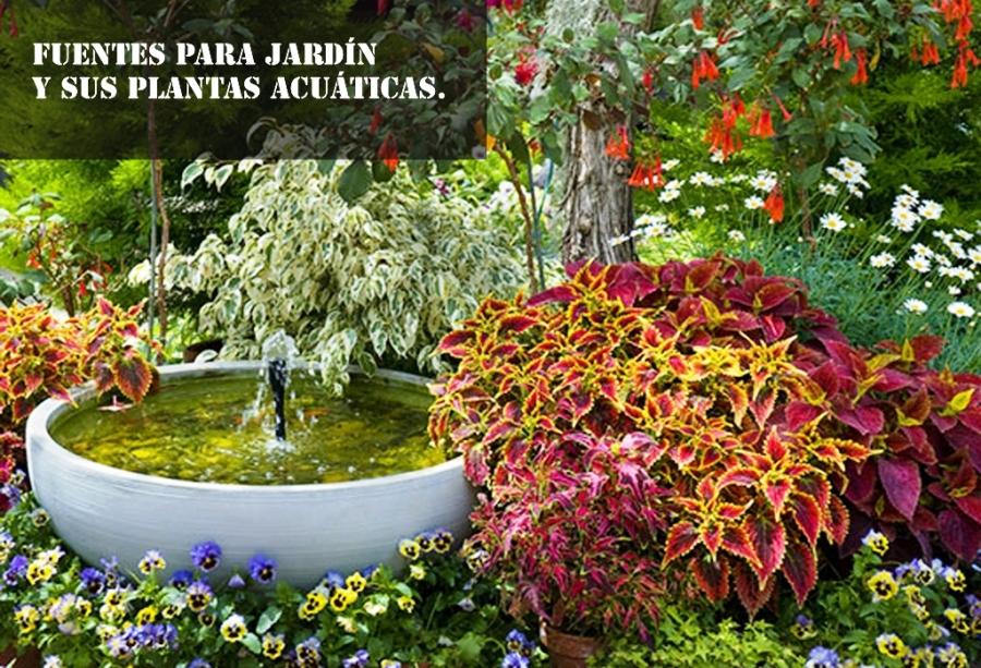 Fuentes para jardín y sus plantas acuáticas.