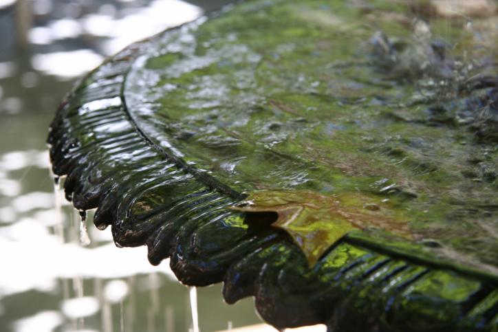 Fuente para jardín de cemento.