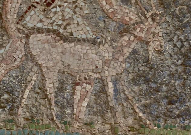 Ricos Urbanite Fresco