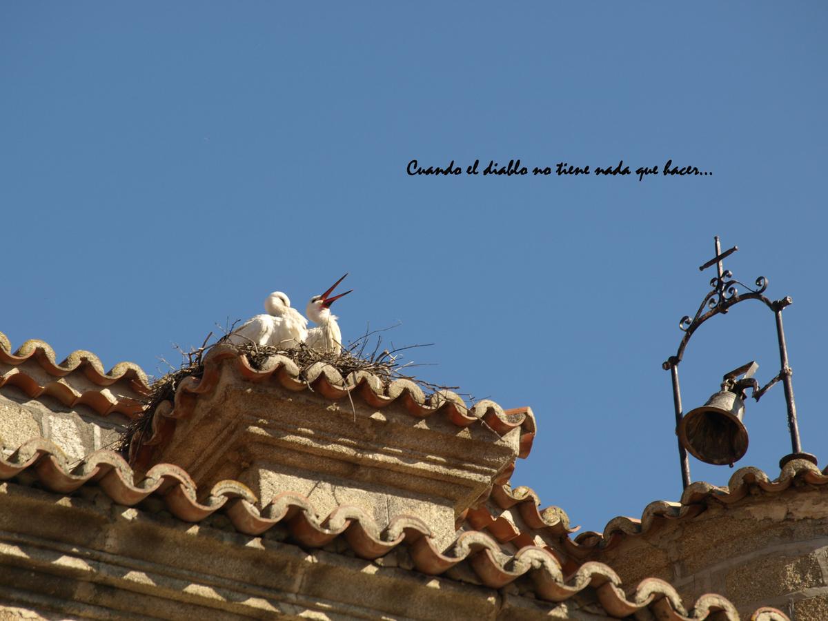 CIGUEÑAS EN EL TIEMBLO