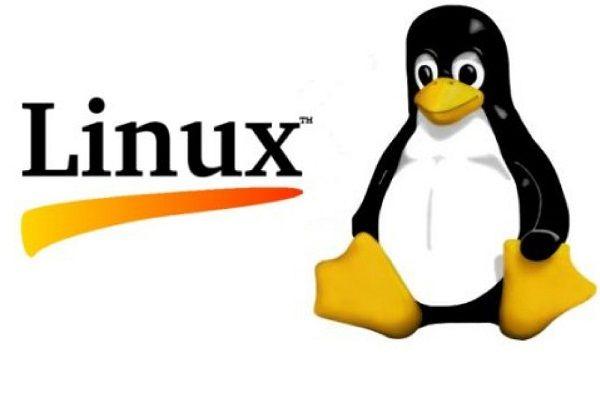Comprar sistema operativo Linux