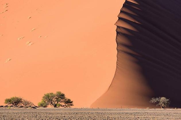 Desierto del Namibia - curso de fotografia - regla de tercios