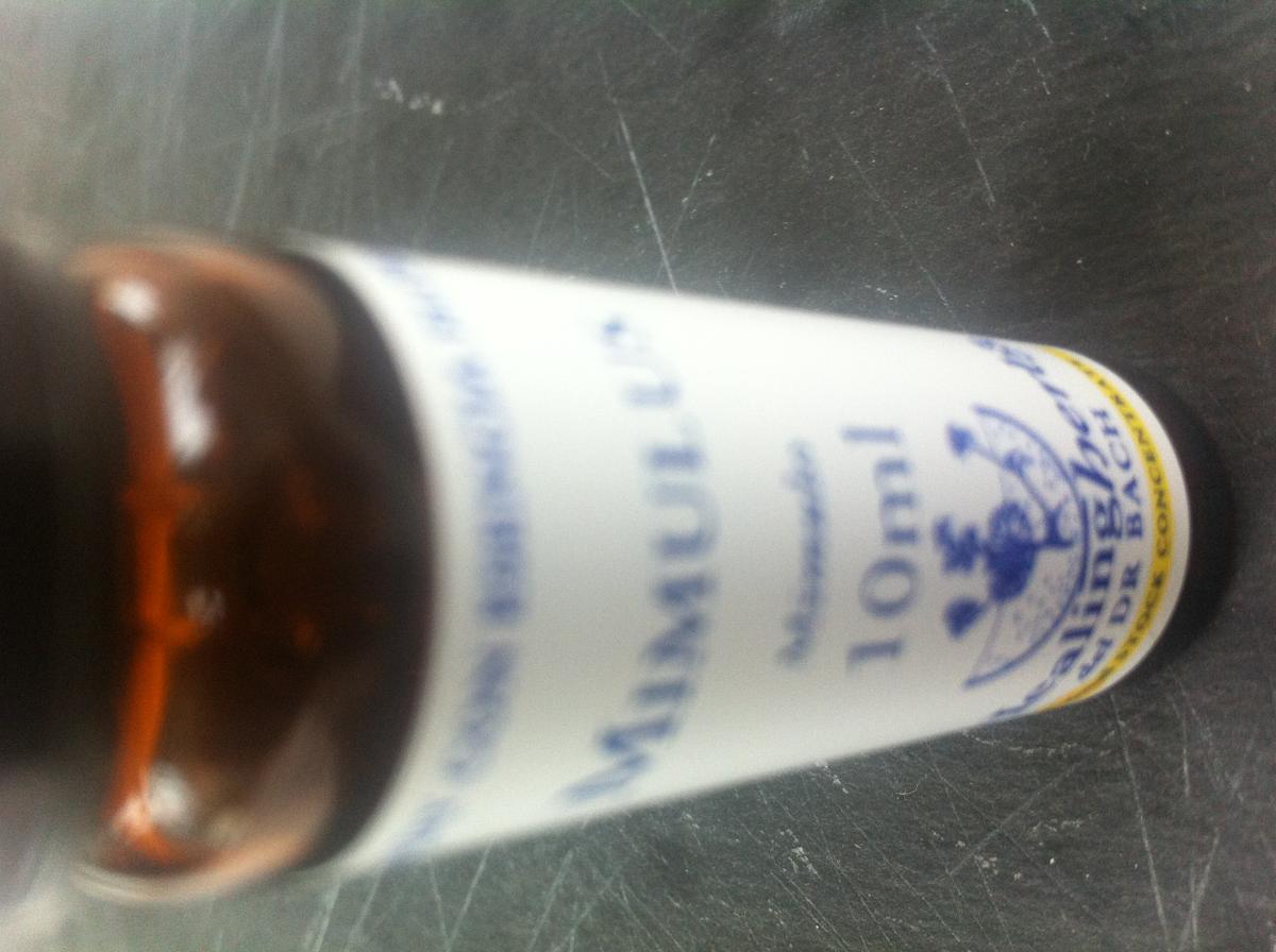 Flores de Bach, Mímilus, también conocida como Mímilo o Álamo temblón