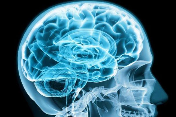 10 Reglas para el aprendizaje de lenguas extranjeras