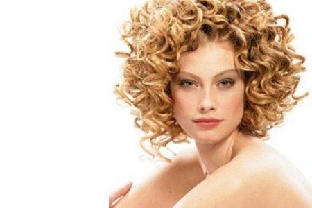 1409222301_podsolnuh