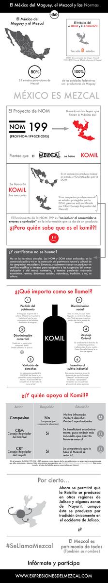 infografia nom 199