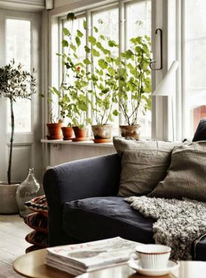 6 ideas geniales para decorar con plantas | Decoración