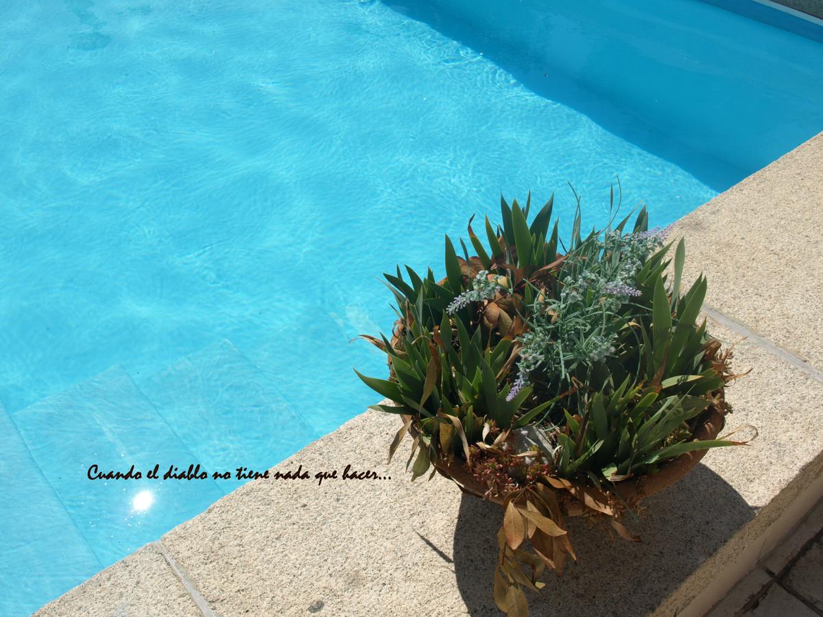 piscina 6