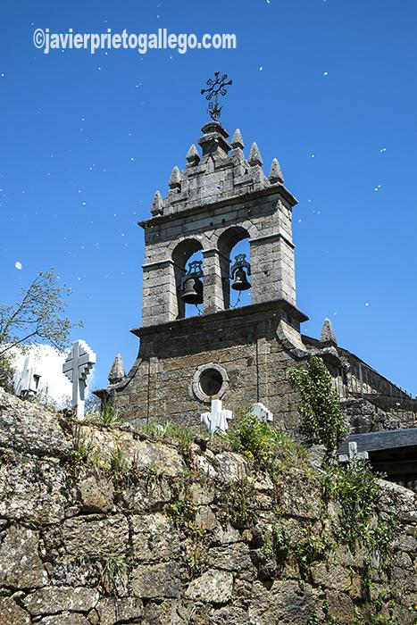 Semillas de chopo vuelan ante la espadaña de la iglesia de la localidad sanabresa de Cervantes. Comarca de Sanabria. Zamora. Castilla y León. España ©Javier Prieto Gallego