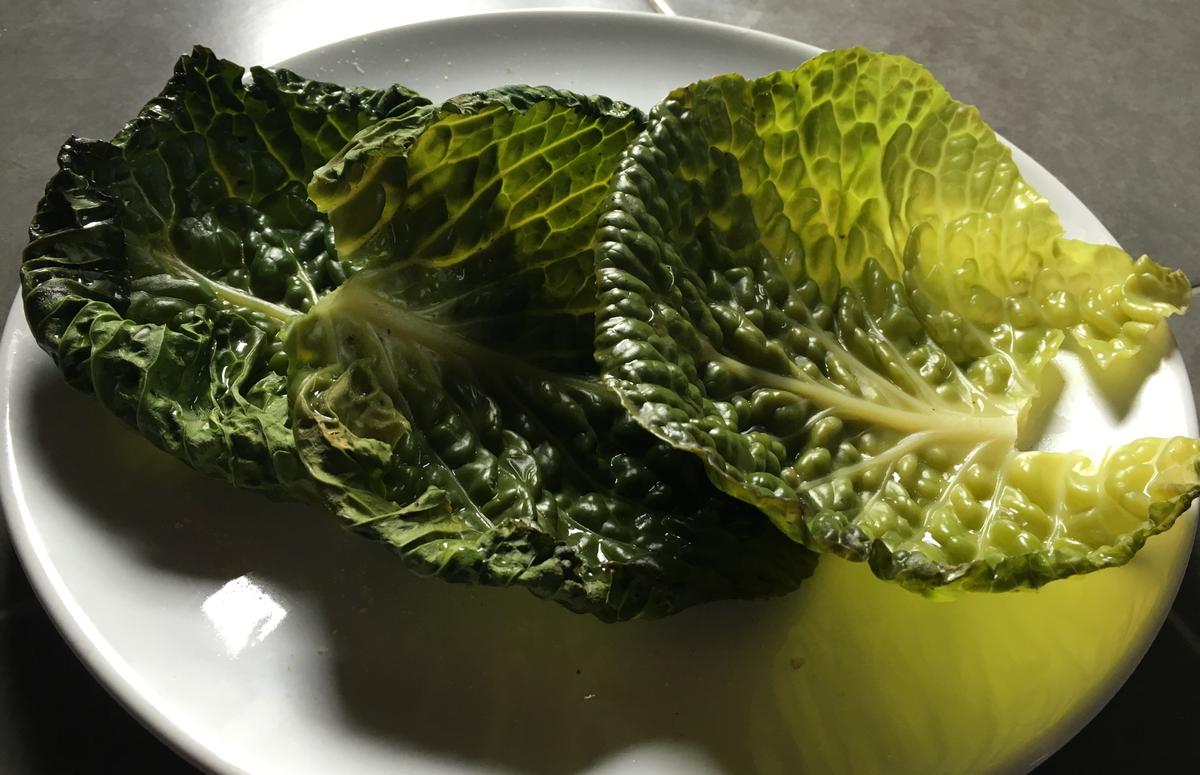 rollitosdecolconcarnenuecesyqueso-hojas