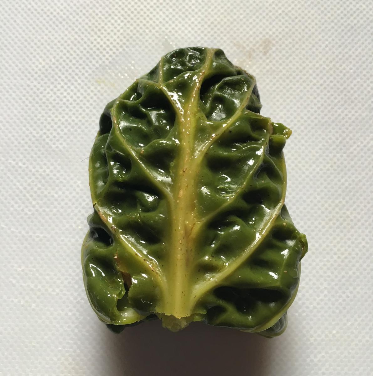 rollitosdecolconcarnenuecesyqueso-rollito