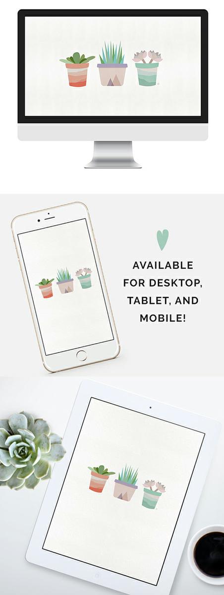 free-succulent-desktop-and-device-wallpaper-1