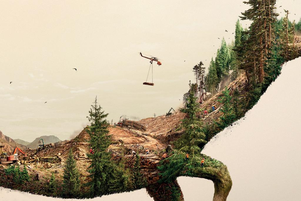 illustrations-show-how-destroying-nature-destroys-life-7