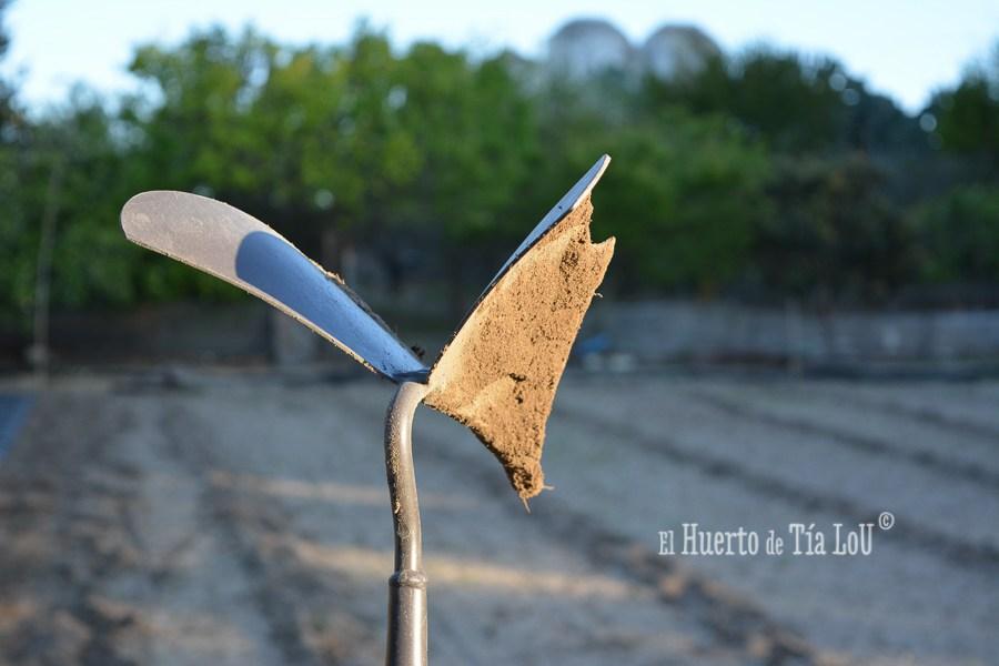 ¿ Nos acompañáis a sembrar los Tomates con Sabor ?