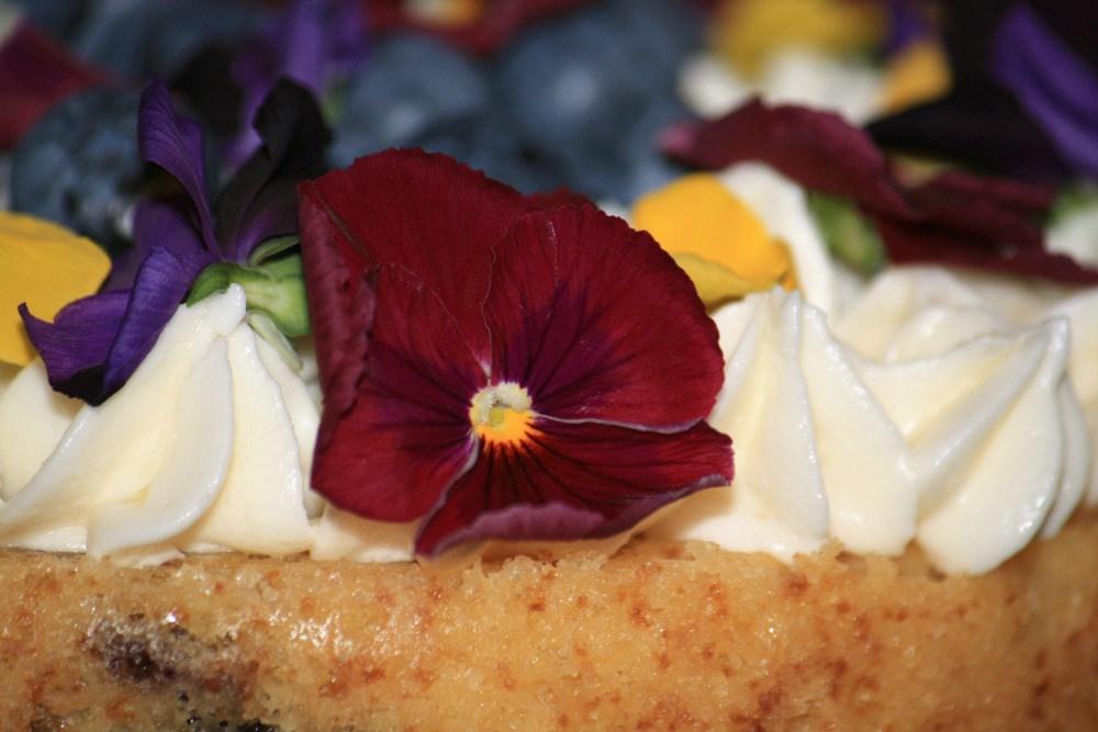 Naked cake de limón y arándanos