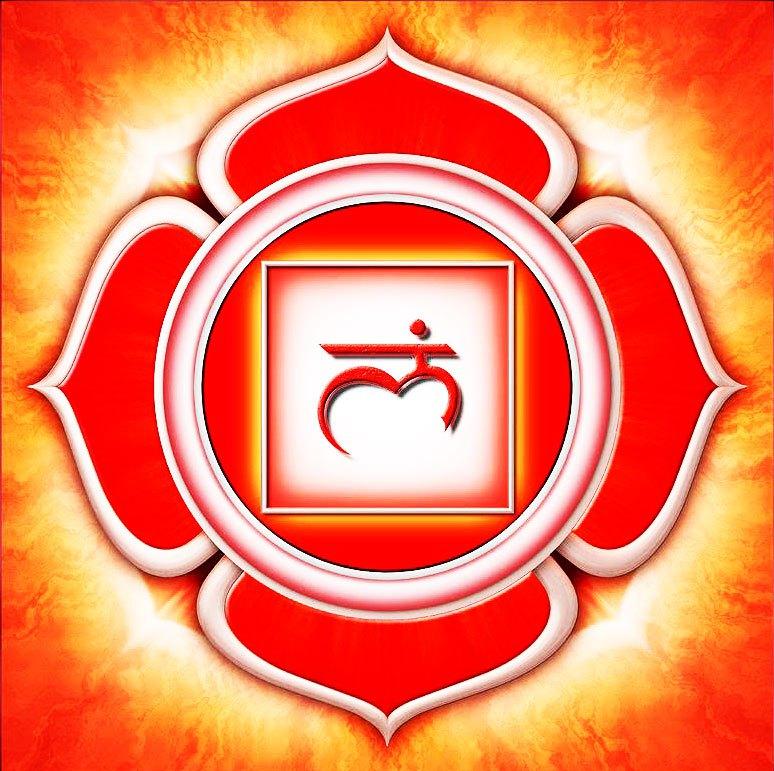 Chakra-Raiz
