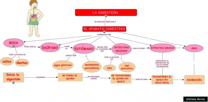 19.04.16 la digestión