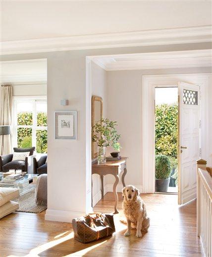 Recibidor y salón de una casa con perros