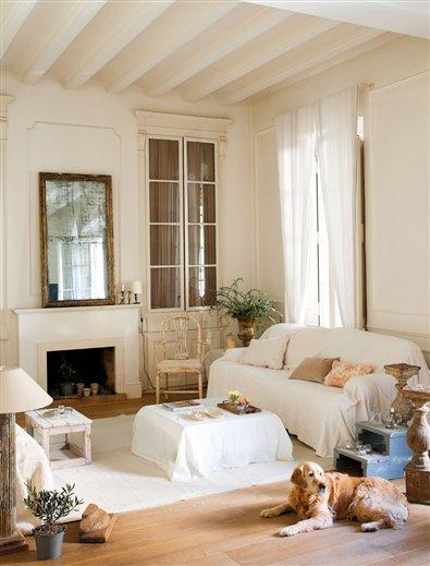 Salón con chimenea de una casa con perros