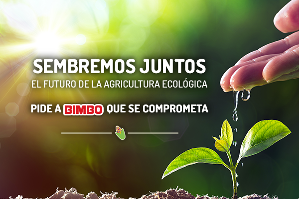 Sembremos juntos, pide a bimbo que se comprometa