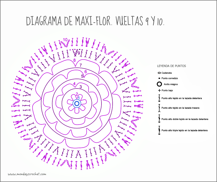 Maxi-flor-vuelta 10