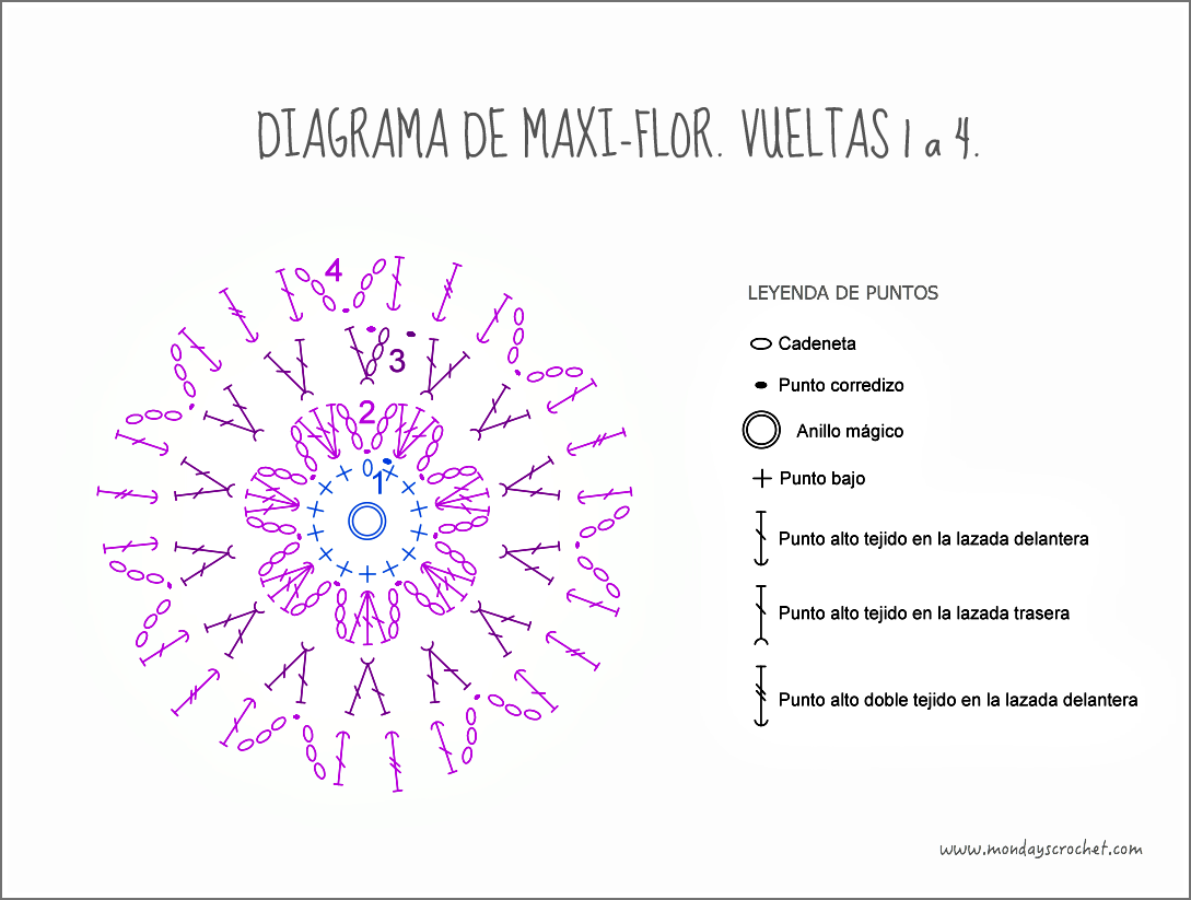 Maxi-flor- vuelta 4