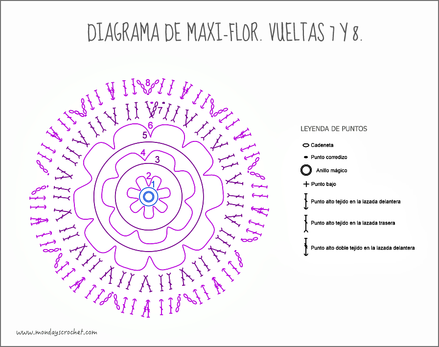 Maxi-flor-vuelta 8