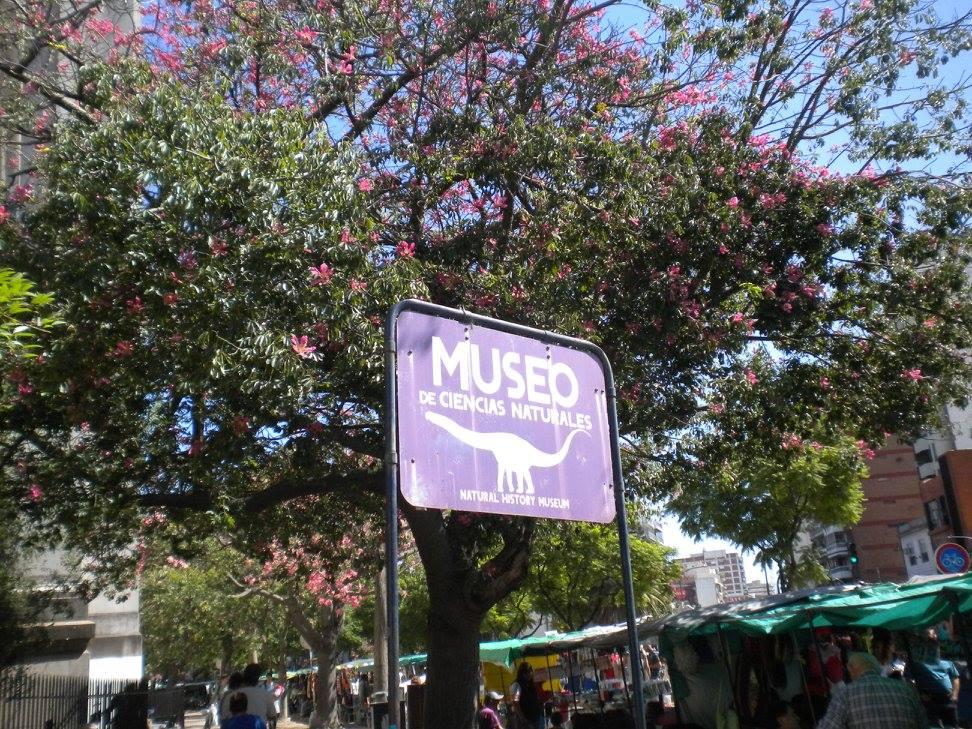 12841345_1074854509243405_942898678587004350_o