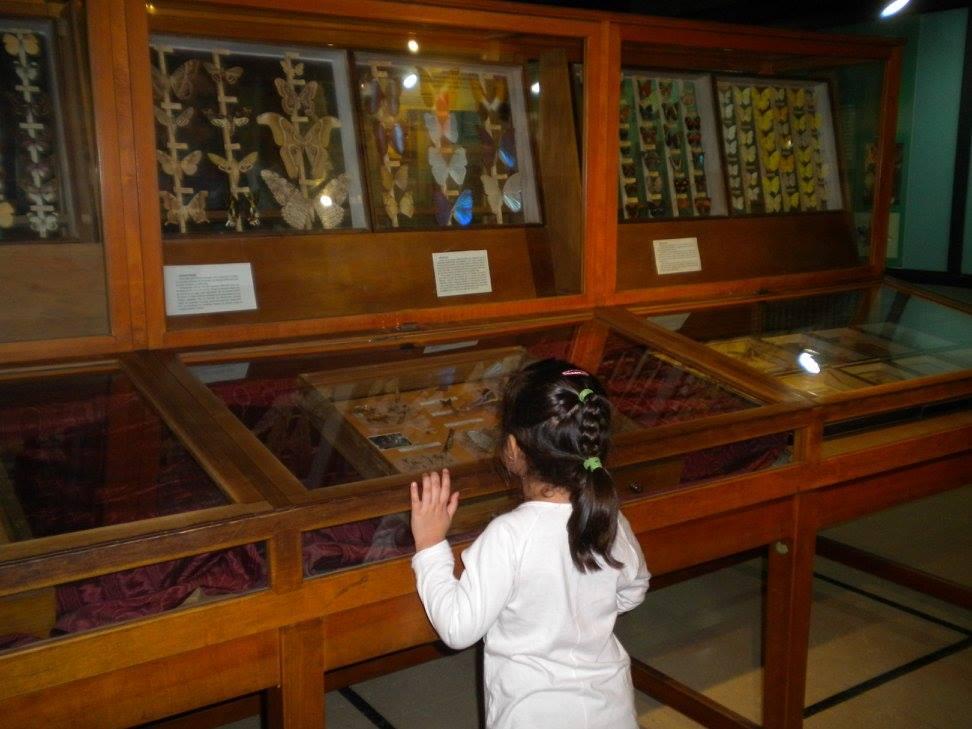 12031553_1074855142576675_6596997172898877729_o